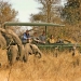 Jock Safari Lodge Game Drive
