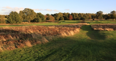 Walton Heath Old