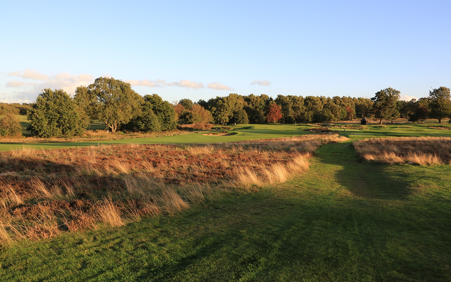 Walton Heath Old