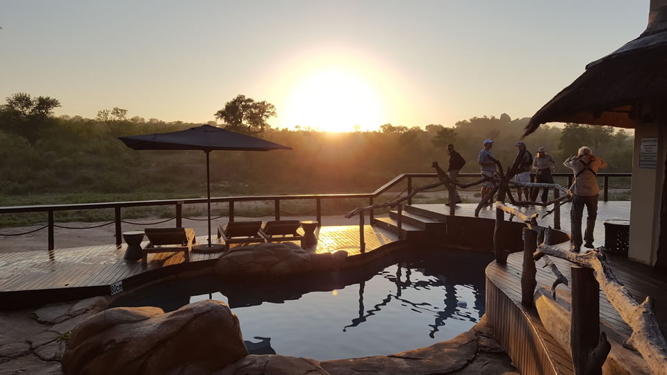 <h2>The Best of South Africa 2017</h2>14 Nights, 4 on Safari | 5 Rounds | Wine Tours & Sightseeing | November 3 – 17