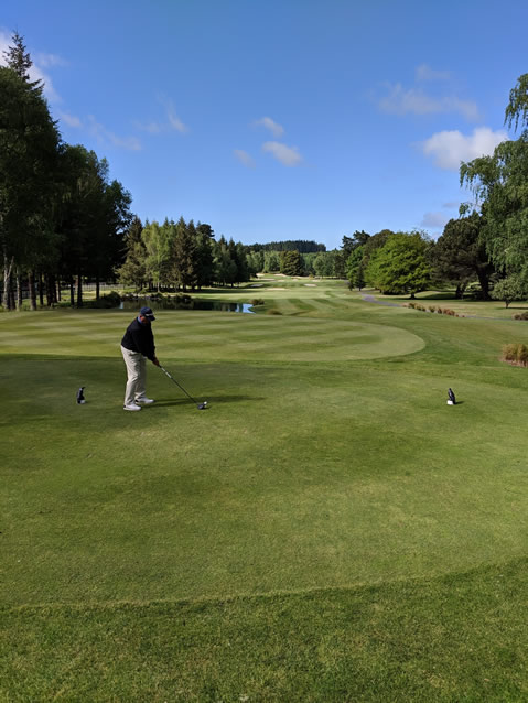 <h2>The Best of New Zealand Escorted 2018</h2>Taupo, Napier, Wellington & Queenstown