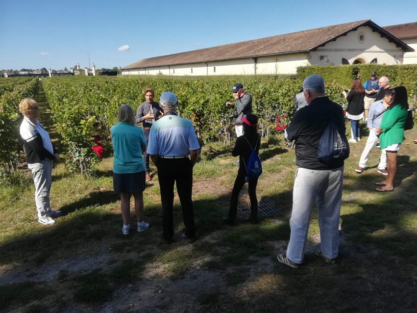 <h2>The Best of Southwest France Escorted 2019</h2>11 Nights in Bordeaux & Biarritz | 5 Rounds | 4 Wine Tastings | September 6 – 17