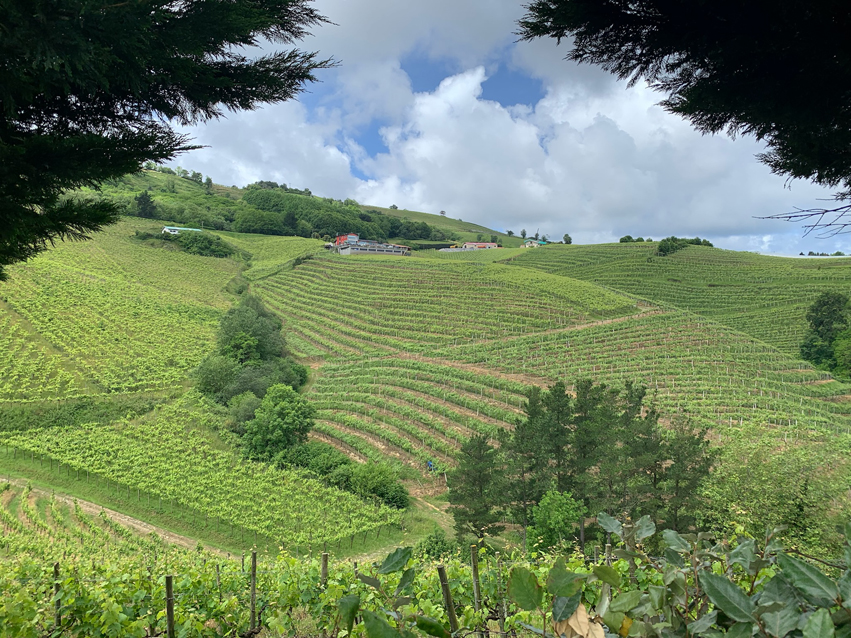 <h2>The Best of Northern Spain Escorted 2022</h2> 8 Nights | 4 Rounds | May 19 – 27